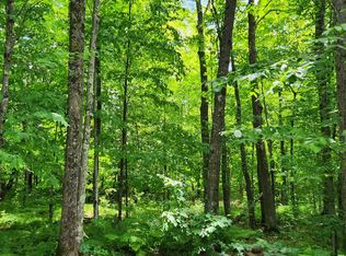 0 N Olson Rd, Hayward, WI 54843