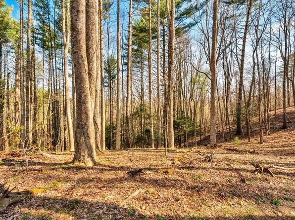 TBD Private Drive, Sugar Grove, NC 28679
