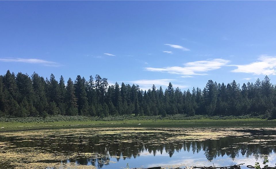 1st image of 1 High Country Dr E