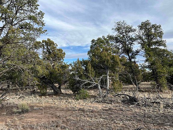 2nd image of Apache Pass