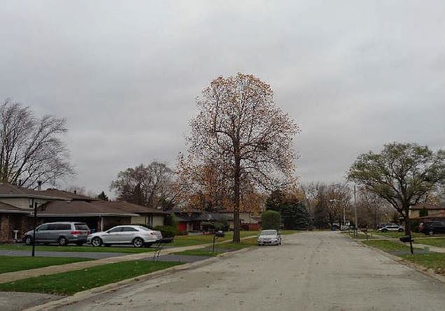 2nd image of 15621 Calumet Dr
