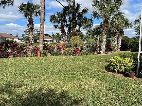 Backyard with a hammock and bird house (you can hear birds chirping)