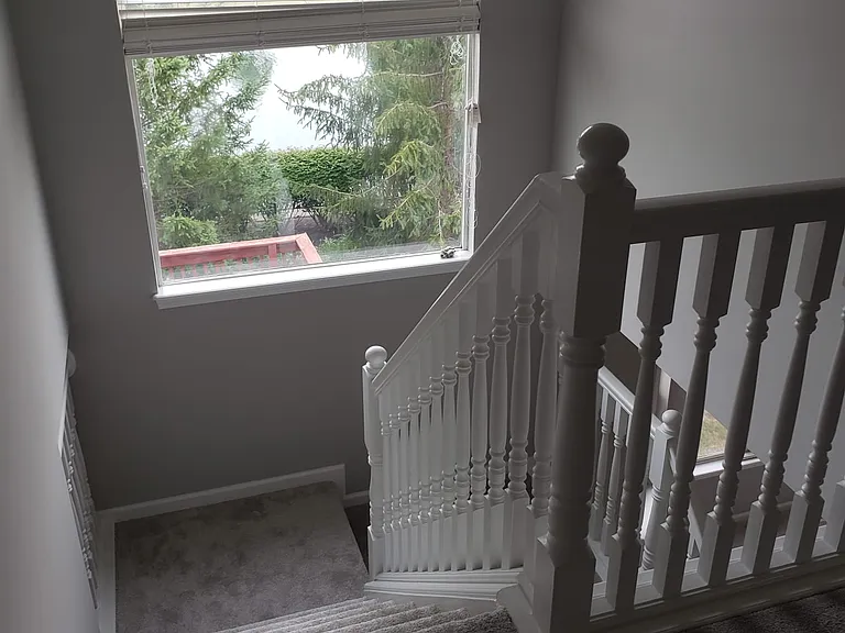 12413 Jaguars Dr — Photo 10