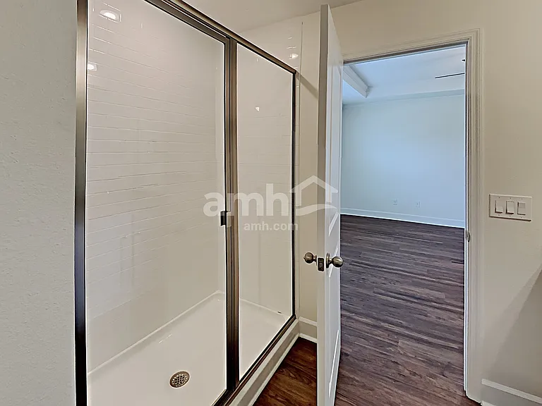 1397 Celery Palm Cv — Photo 17