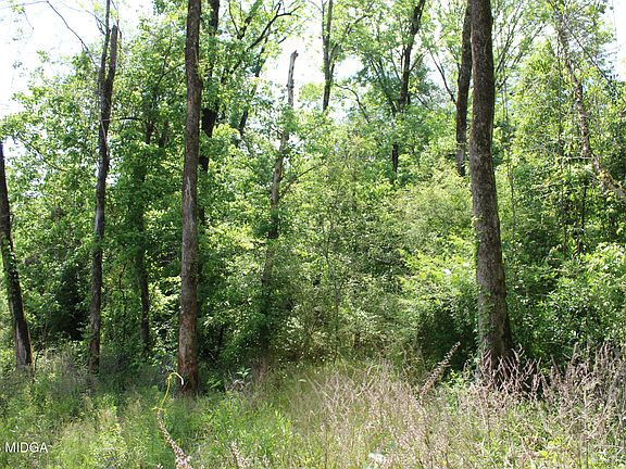 4th image of 5 Jenkins Rd