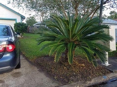 5th image of 4531 Cobblefield Cir E