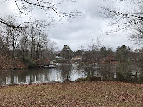 Lake view near shore