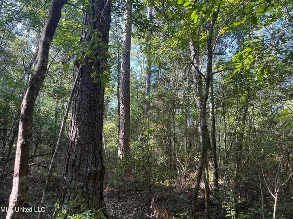 Washam Rd, Lucedale, MS 39452