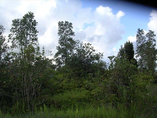 2nd image of Road 8 Moho Lot 4923