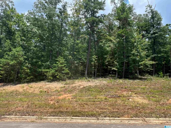 845 Redhawk Rdg #34, Springville, AL 35146