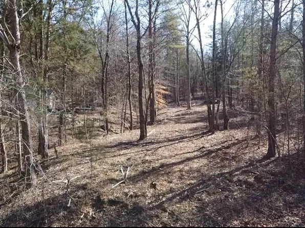 146 Till Rd, Hohenwald, TN 38462