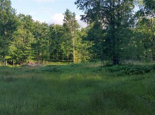 0 Lumley Rd, Bear Lake, MI 49614