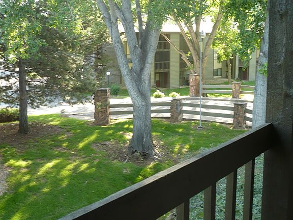 View from Deck
