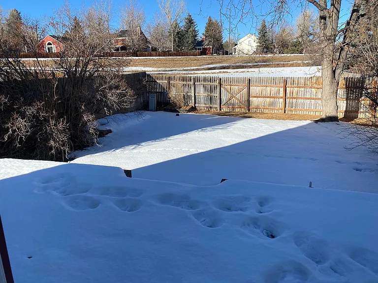 403 W Sumac Ct — Photo 19