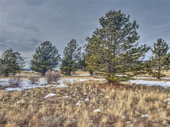 1975 Garfield Road, Hartsel, CO 80449
