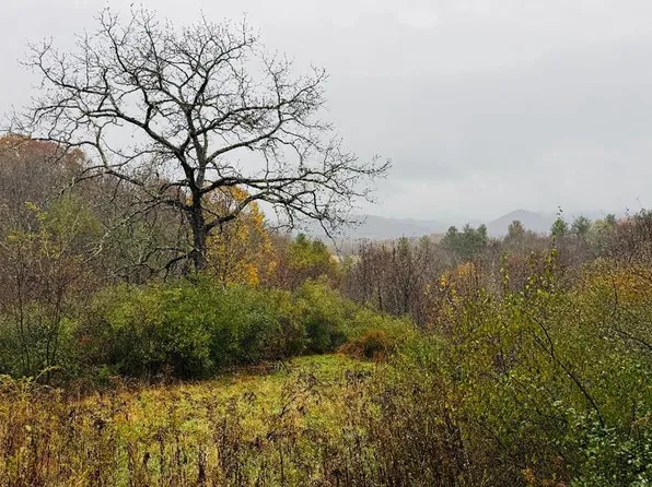 Yonder Ln, Troutdale, VA 24378