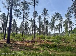 J W Miller Rd, Jayess, MS 39641