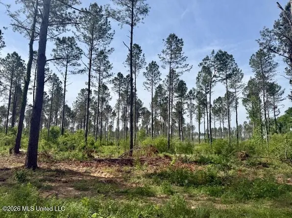 J W Miller Rd, Jayess, MS 39641