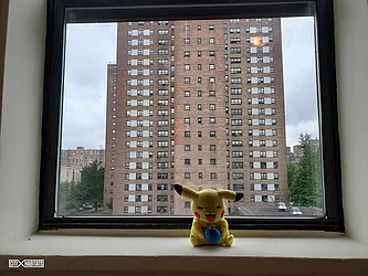 Rented by Citi Habitats