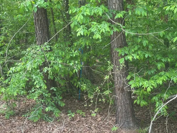 6 New Delaughter Dr, North Augusta, SC 29860