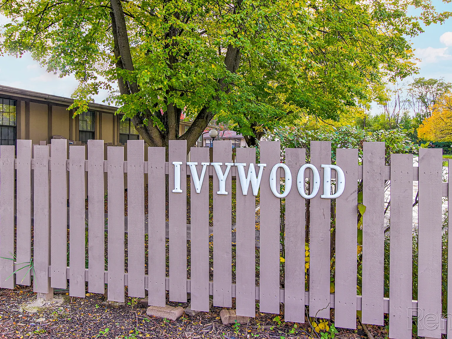 Ivywood Apartments — Photo 1