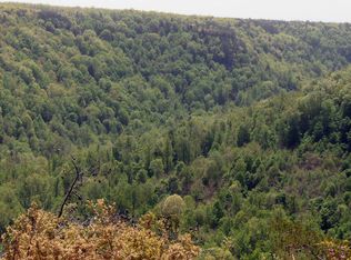 89 Parkside Ln, Spencer, TN 38585