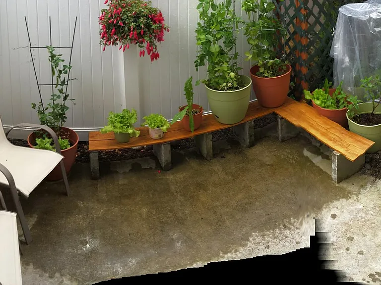 Enclosed private patio/garden