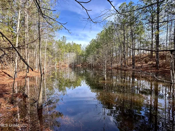 Bates Rd, Louisville, MS 39339