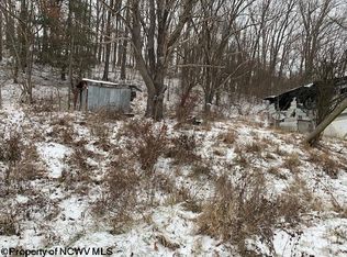 10 Thorne Ave, Elkins, WV 26241