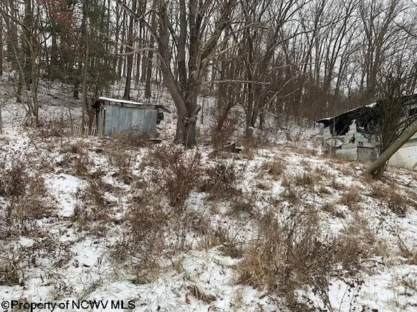 10 Thorne Ave, Elkins, WV 26241