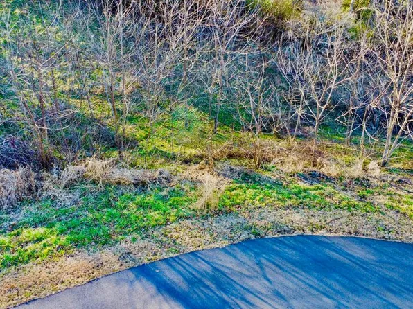 16 Anns Way, Blairsville, GA 30512