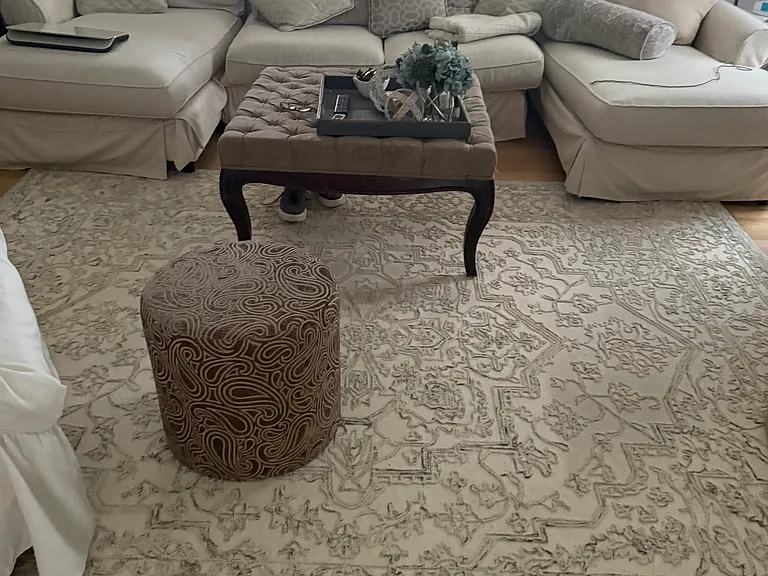 Living room (furniture may differ)