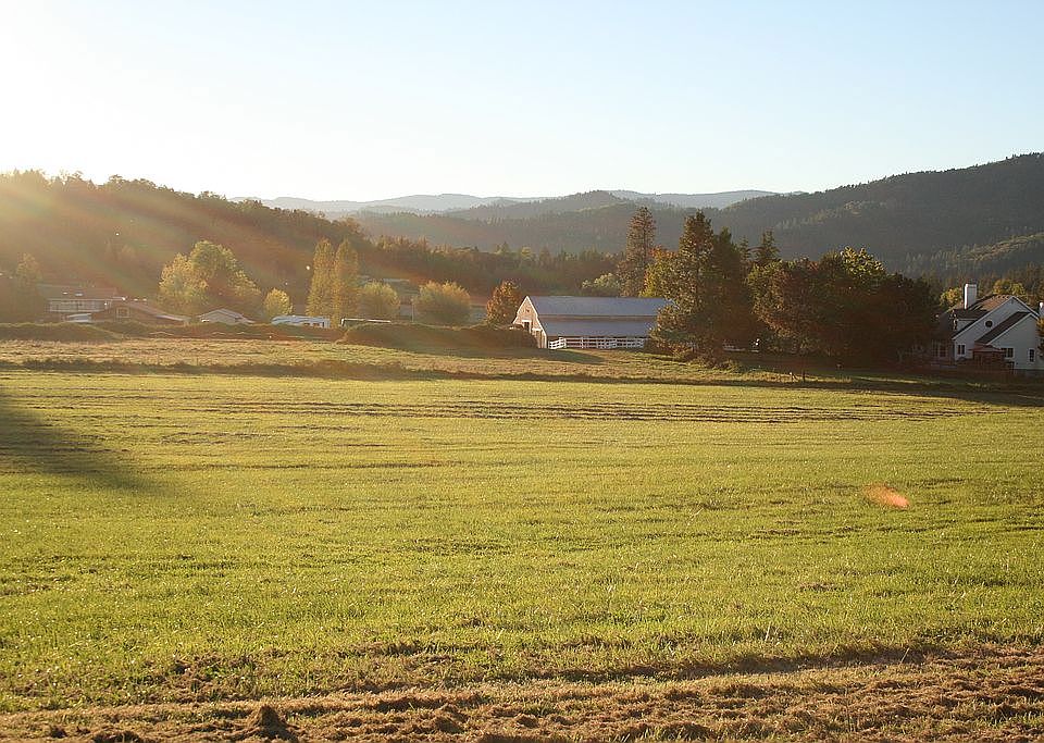 View from kitchen window
