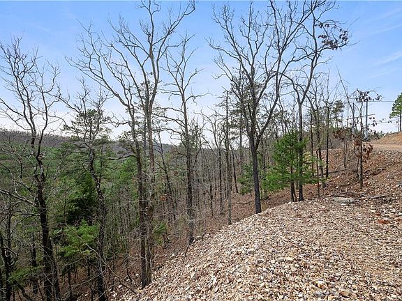 5th image of 161 Evergreen Vista Loop Lot 161