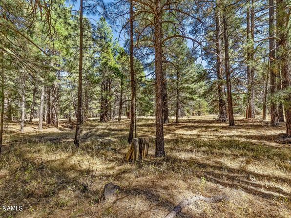 155 E Ski Run Rd, Williams, AZ 86046