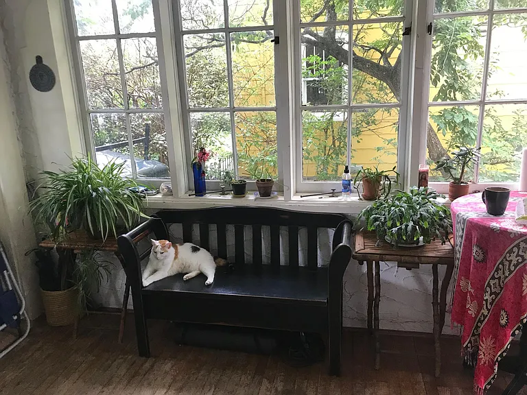 service porch. cat not included