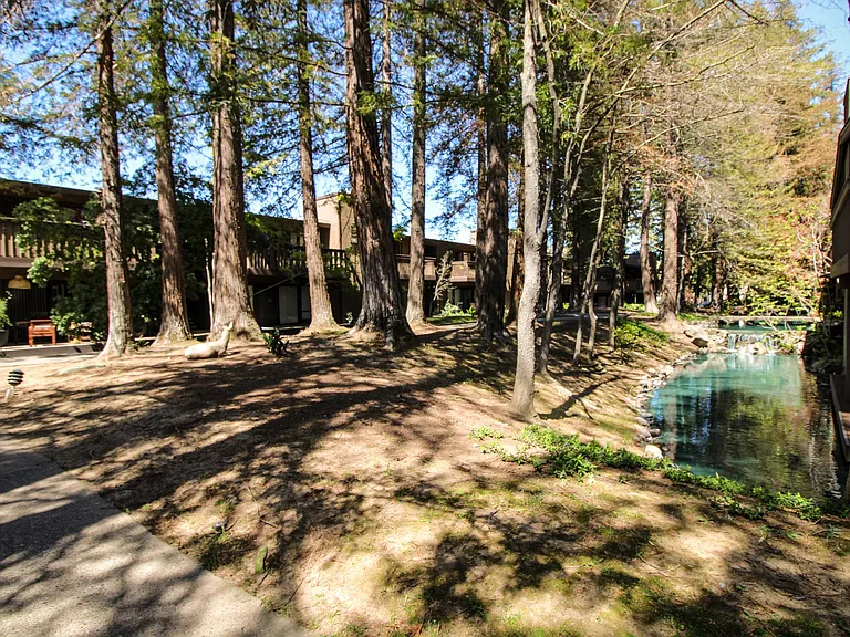 2408 Larkspur Ln #247 — Photo 23