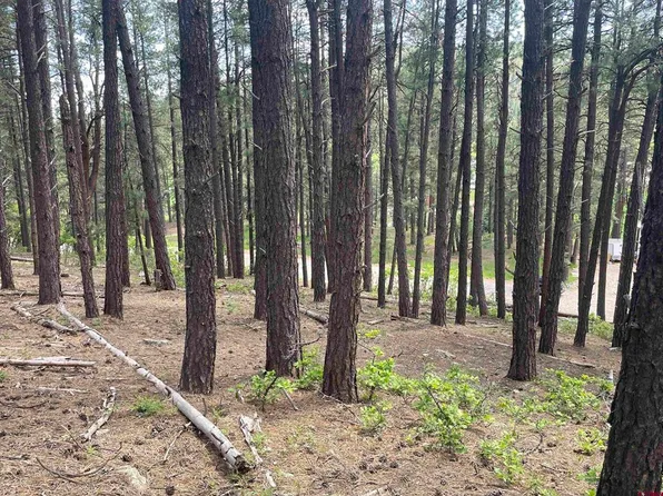 144 Snowbird Court, Bayfield, CO 81122