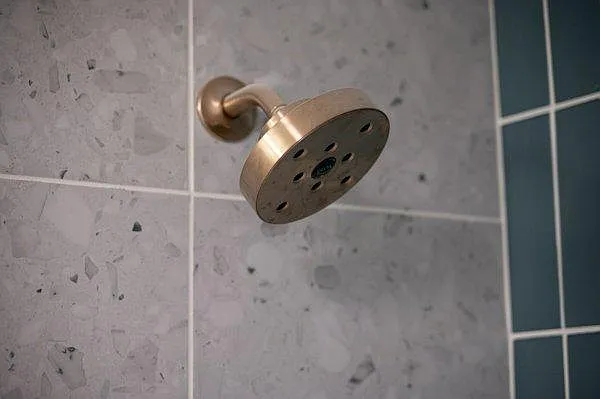 4431 Allison St #5 — Photo 9