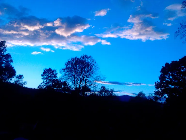 View from