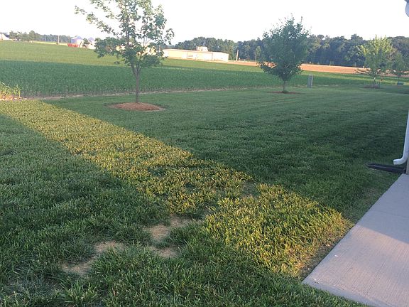 View from back patio
