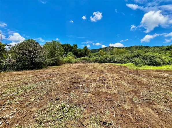 Bo Cidral Pr #450, San Sebastian, PR 00685