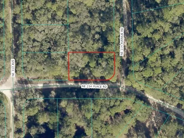 NE 234th Pl Lot 10, Fort Mc Coy, FL 32134
