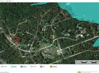 311 Hanging Tree Trl, Pointblank, TX 77364