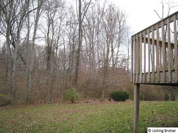 Treed area behind back yard.