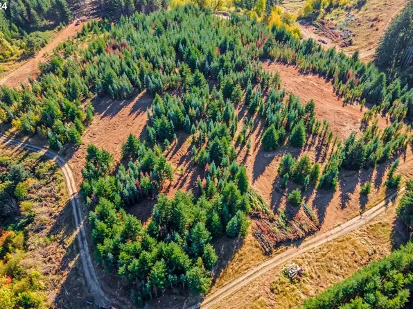 NW Lodge Rd, Banks, OR 97106