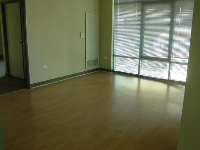 425 W Beech St #1301 — Photo 21