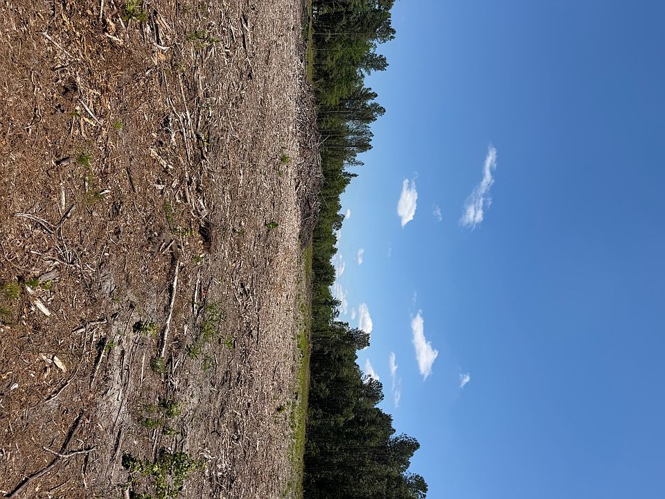 2nd image of Calf Pen Bay Rd Lot 3