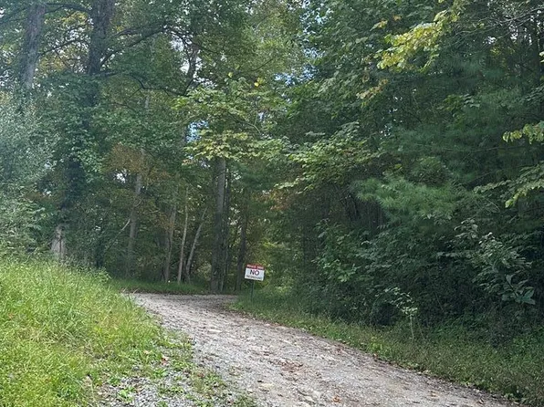 0 Hurt Buggy Rd, Cedar Bluff, VA 24609