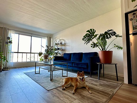 5th image of 1700 Civic Center Dr APT 605